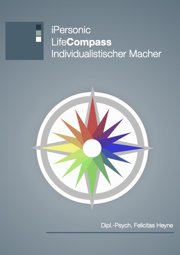 LifeCompass Individualistischer Macher
