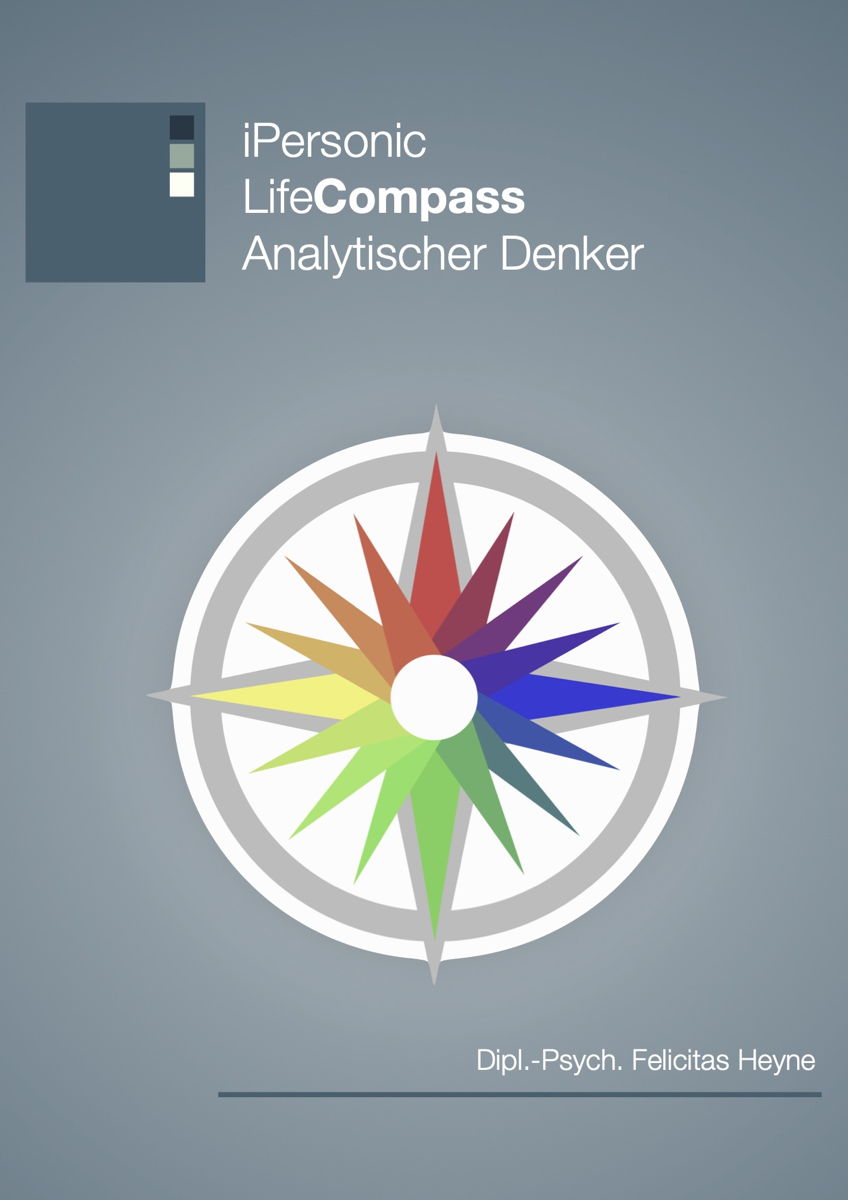 LifeCompass Analytischer Denker LifeCompass Analytischer Denker