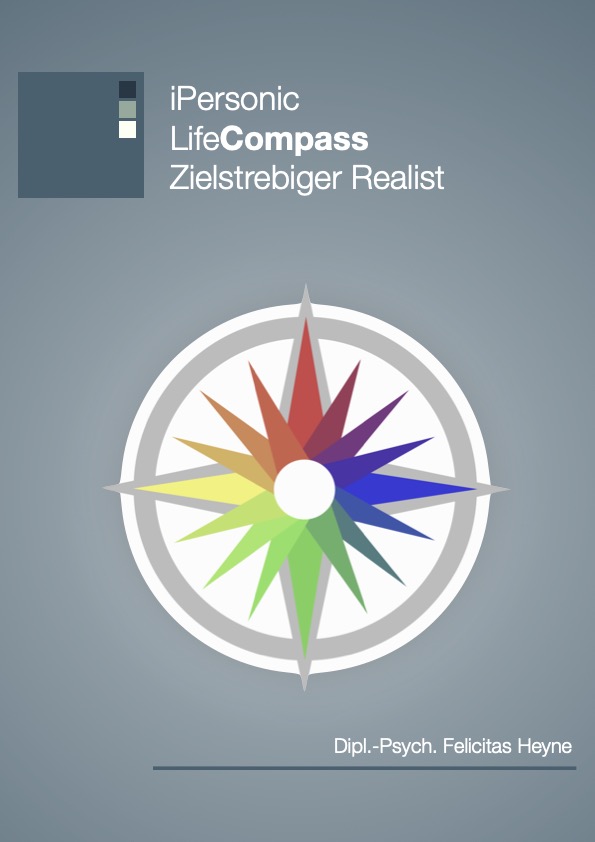 LifeCompass Zielstrebiger Realist